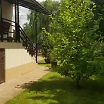 Mimi Nyíregyháza