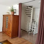 Mimi * Nyíregyháza