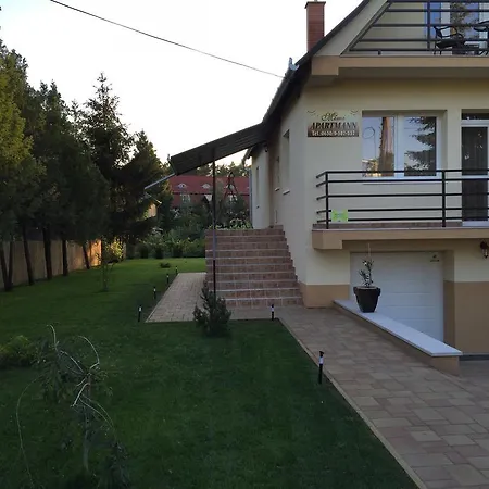 Mimi Willa Nyíregyháza