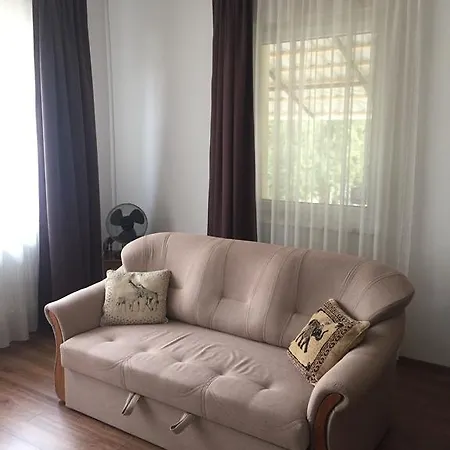 Mimi *