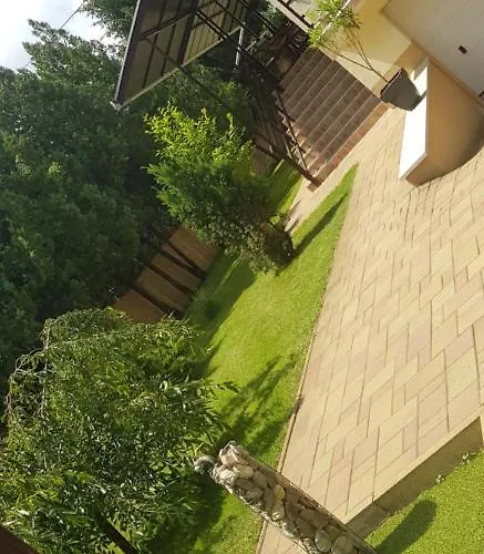 Mimi Willa Nyíregyháza