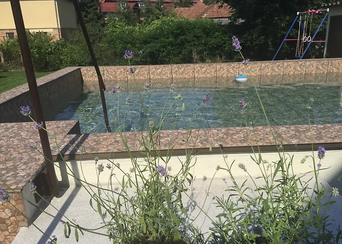 Mimi Willa Nyíregyháza