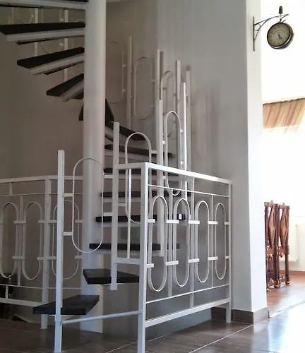 Mimi * Nyíregyháza