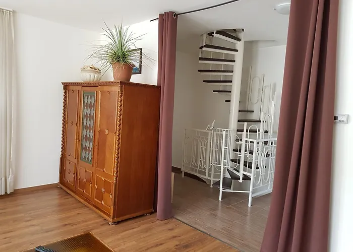 Mimi * Nyíregyháza